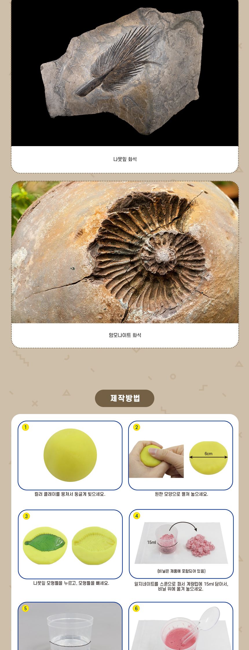 나뭇잎 화석 모형 만들기 5인 세트 나뭇잎화석모형 나뭇잎화석모형만들기 나뭇잎화석 과학장난감 과학놀이 만들기키트 과학만들기키트 DIY만들기 초등DIY만들기 과학DIY만들기