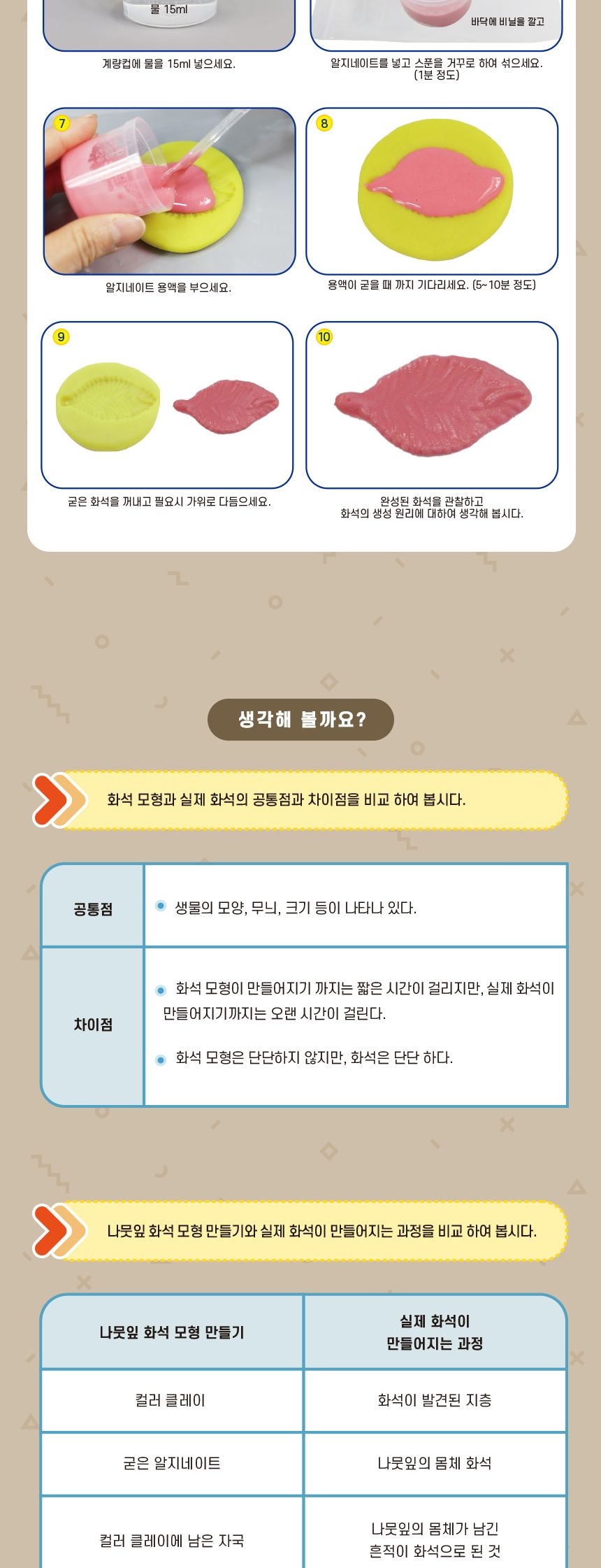 나뭇잎 화석 모형 만들기 5인 세트 나뭇잎화석모형 나뭇잎화석모형만들기 나뭇잎화석 과학장난감 과학놀이 만들기키트 과학만들기키트 DIY만들기 초등DIY만들기 과학DIY만들기