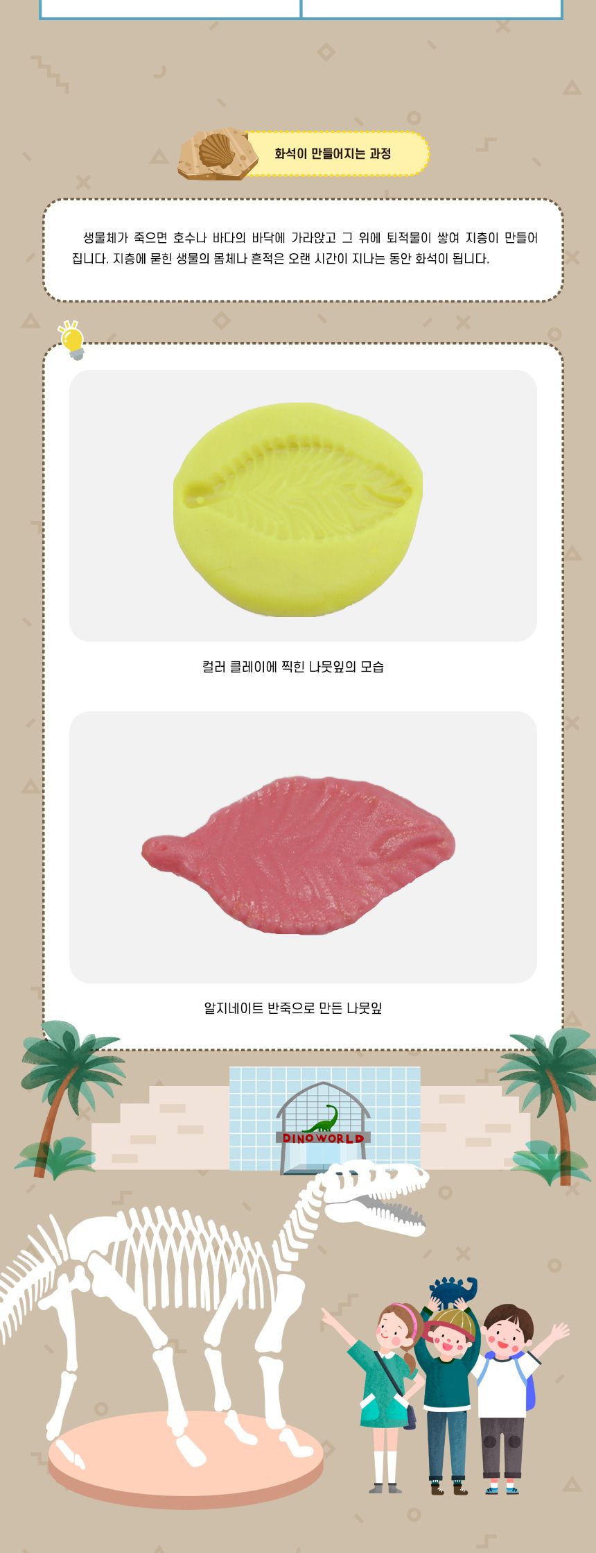 나뭇잎 화석 모형 만들기 5인 세트 나뭇잎화석모형 나뭇잎화석모형만들기 나뭇잎화석 과학장난감 과학놀이 만들기키트 과학만들기키트 DIY만들기 초등DIY만들기 과학DIY만들기