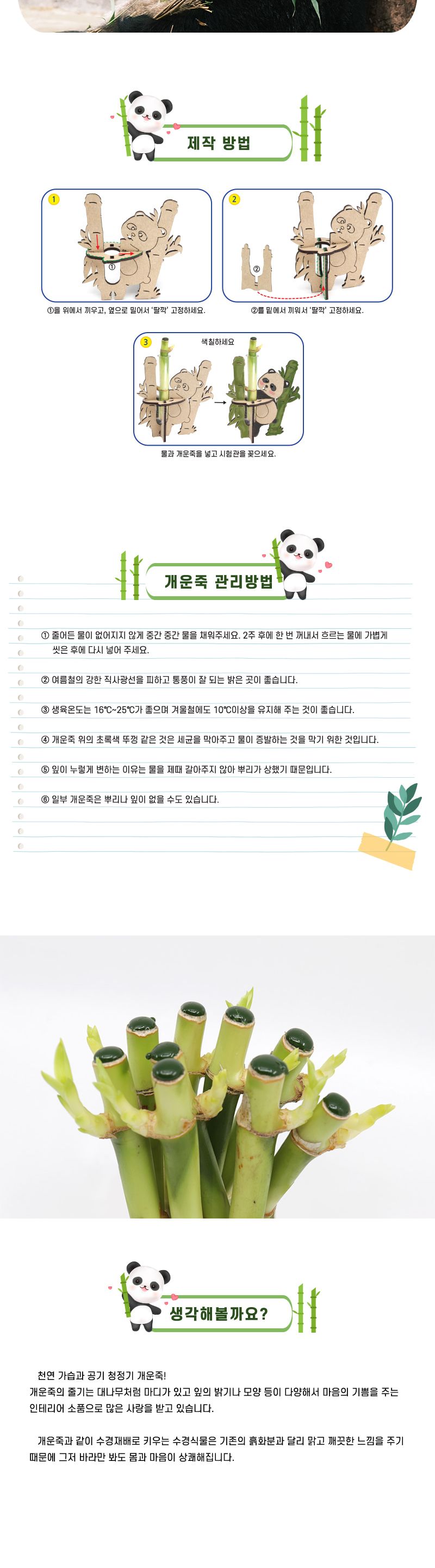 팬더와 개운죽 5인 세트 개운죽 팬더개운죽 개운죽장식만들기 과학상자 과학장난감 과학놀이 만들기키트 과학만들기키트 DIY만들기 초등DIY만들기 DIY과학만들기