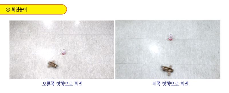 전기 플라잉 카 만들기 전기플라잉카 자동차만들기 플라잉카 플라잉카만들기 초등DIY만들기키트 과학장난감 과학놀이 만들기키트 과학만들기키트 DIY만들기 초등DIY만들기 과학DIY만들기