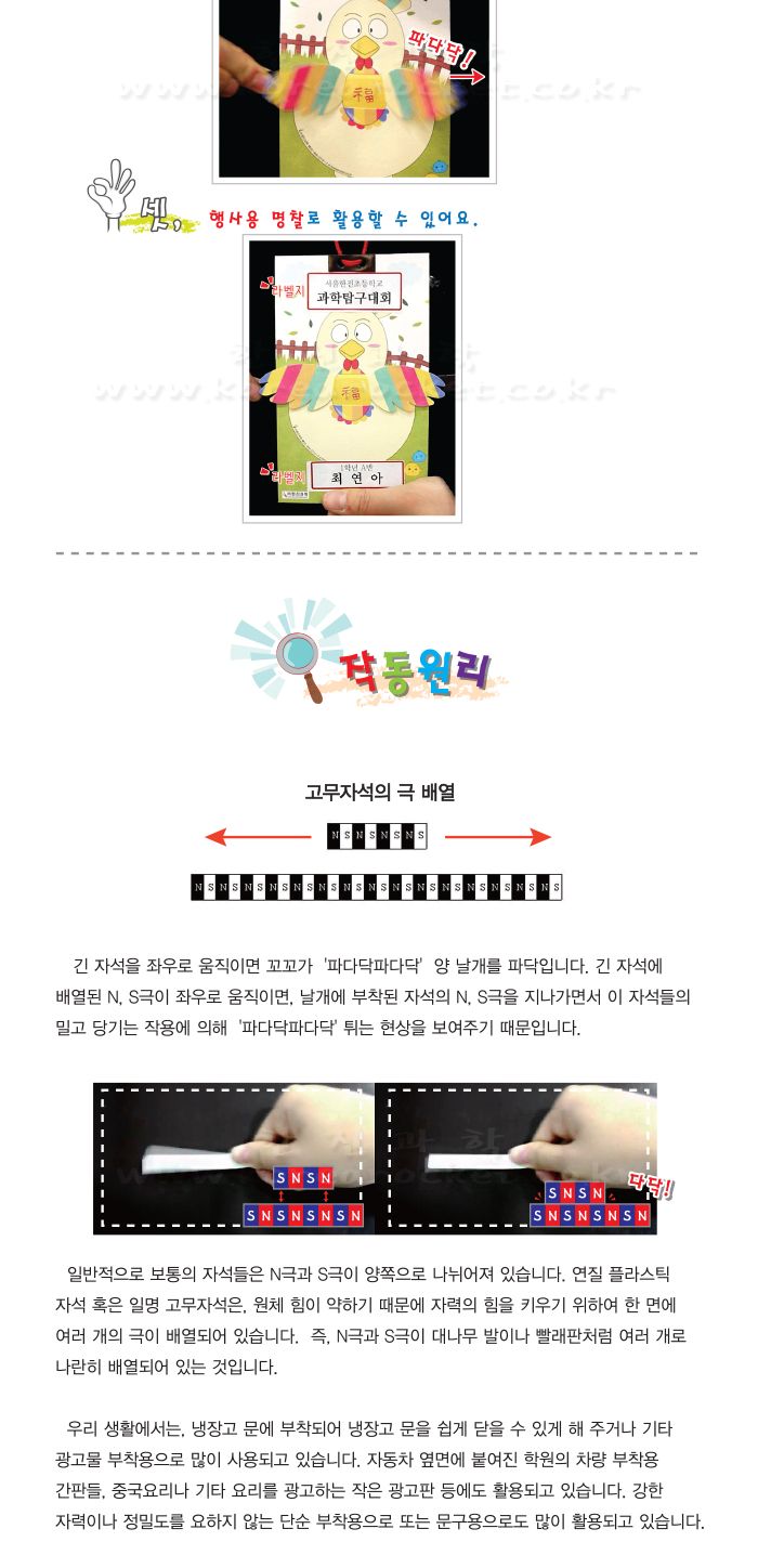 파닥파닥 꼬꼬 5인 세트 초등 DIY만들기 고무자석극배열이해 명찰만들기 자석의이해실험 자석실험교구 자석과학실험 초등자석실험 어린이자석실험 자석학습세트 마그네틱실험교구 과학학습교구