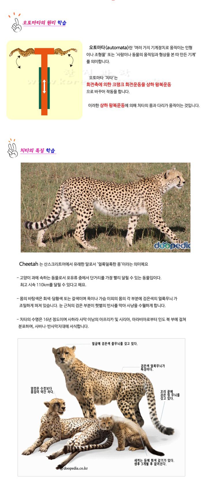 달려라 치타 초등 DIY 만들기 달려라치타 오토마타장난감만들기 오토마타학습놀이 달려라치타만들기 과학수업교구 과학수업키트 과학교구 과학학습교구 과학놀이 과학장난감 과학만들기 만들기장난감 만들기놀이