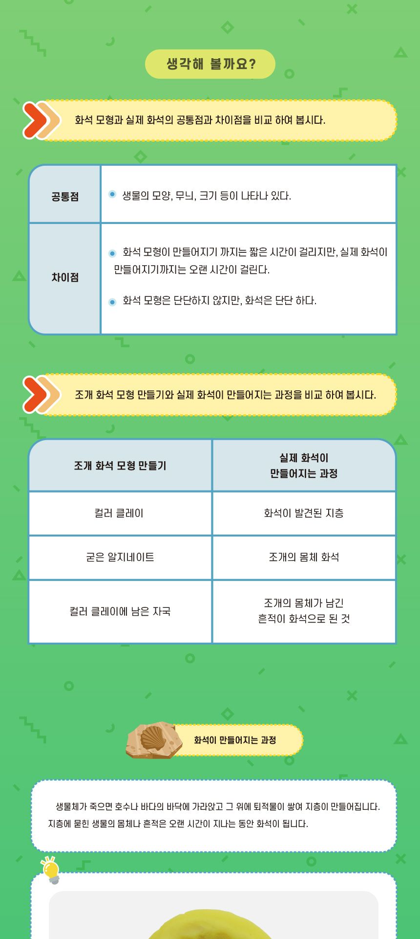 조개 화석 모형 만들기 5인 세트 초등과학교구 어린이과학교구 키즈과학교구 DIY화석모형 화석생성과정실험 화석생성실험 화석생성교육 조개화석모형관찰 학교화석실험 학원화석만들기
