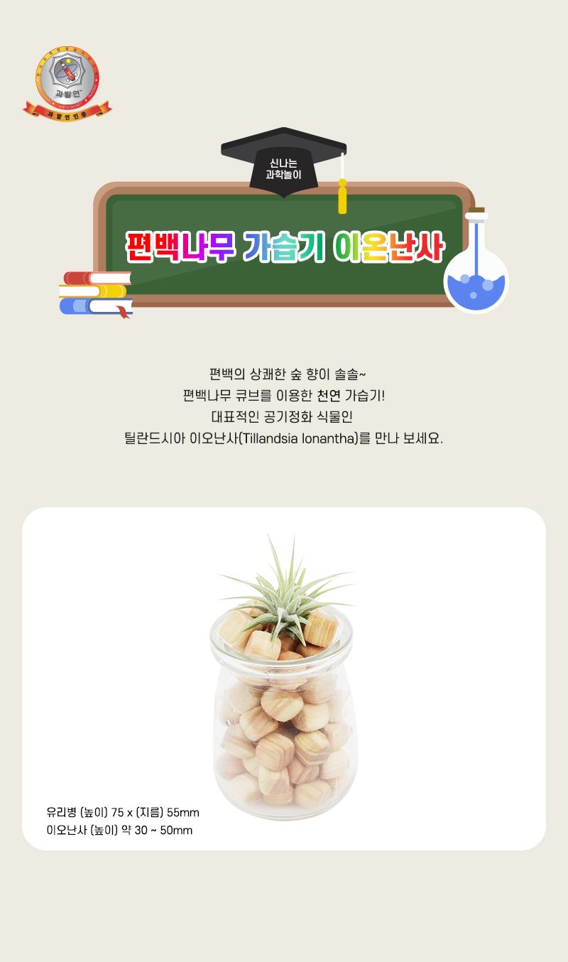 편백나무 가습기 이오난사 4인 세트 초등 DIY만들기 편백나무가습기만들기 편백나무가습기패키지 DIY편백나무가습기 이오난사가습기만들기 DIY가습기 어린이가습기만들기 키즈가습기만들기 아이가습기만들기 초등가습기만들기 과학가습기세트