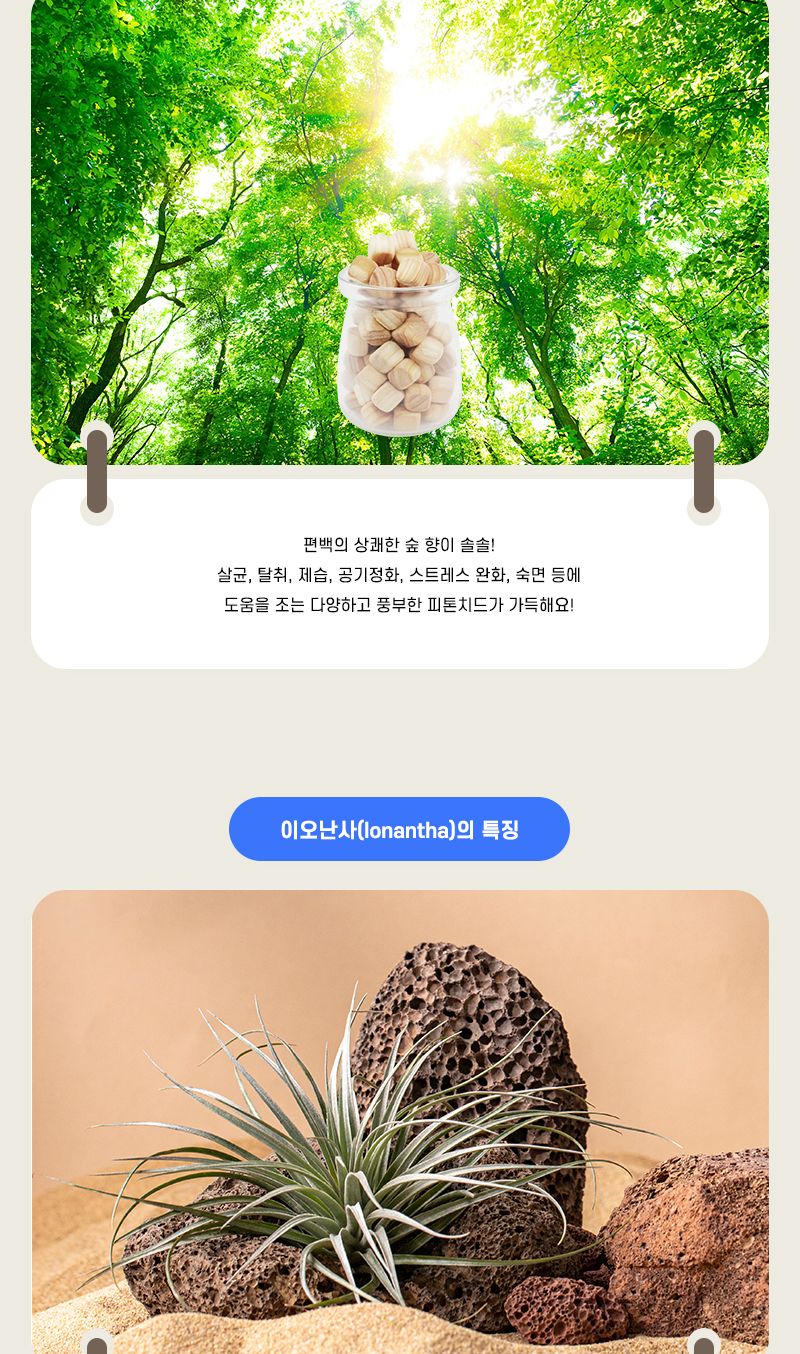 편백나무 가습기 이오난사 4인 세트 초등 DIY만들기 편백나무가습기만들기 편백나무가습기패키지 DIY편백나무가습기 이오난사가습기만들기 DIY가습기 어린이가습기만들기 키즈가습기만들기 아이가습기만들기 초등가습기만들기 과학가습기세트