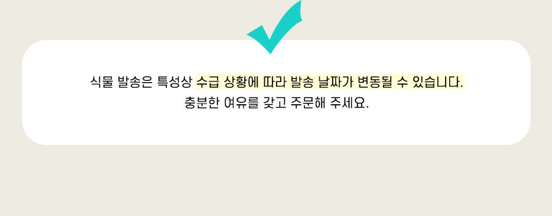 편백나무 가습기 이오난사 4인 세트 초등 DIY만들기 편백나무가습기만들기 편백나무가습기패키지 DIY편백나무가습기 이오난사가습기만들기 DIY가습기 어린이가습기만들기 키즈가습기만들기 아이가습기만들기 초등가습기만들기 과학가습기세트