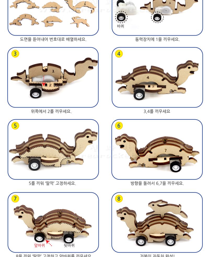 거북이 자동차 초등 DIY 만들기 자동차만들기 거북이자동차 거북이자동차만들기 초등DIY만들기키트 과학장난감 과학놀이 만들기키트 과학만들기키트 DIY만들기 초등DIY만들기 과학DIY만들기