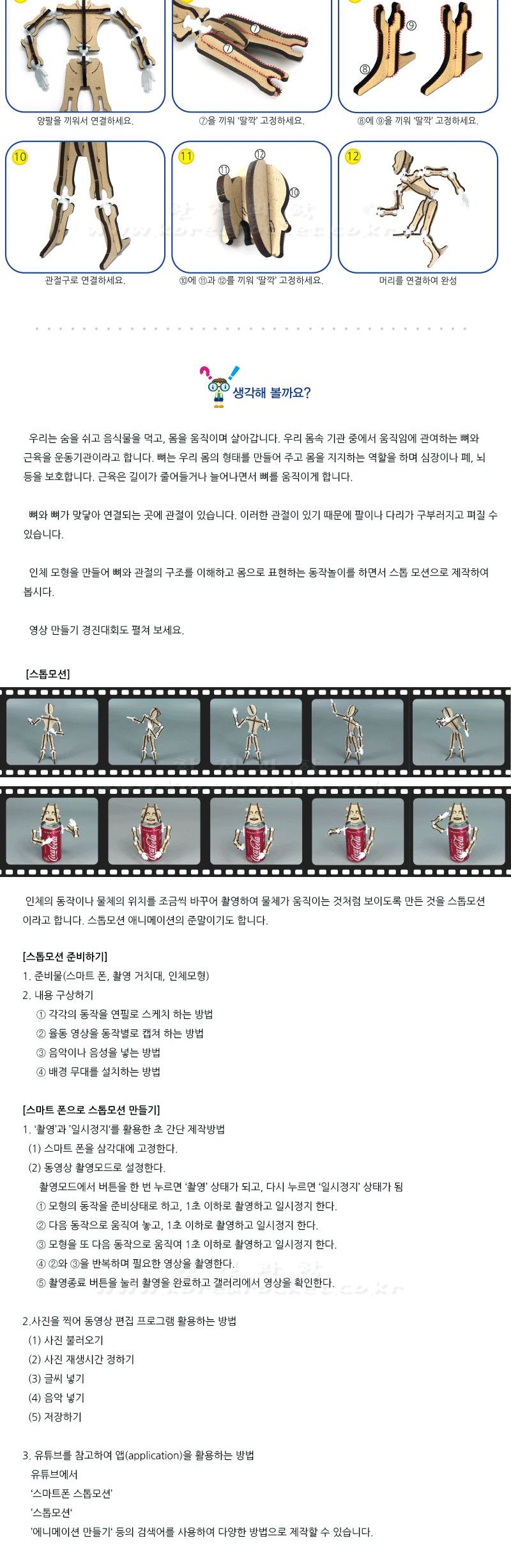 인체 모형 스톱 모션 과학장난감 과학놀이 만들기키트 과학만들기키트 DIY만들기 초등DIY만들기 과학DIY만들기 인체모형 인체모형만들기 인체모형교구 인체모형스톱모션