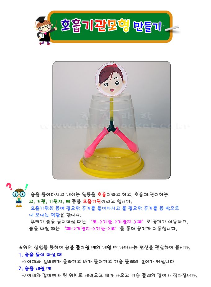호흡기관 모형 만들기 10인 세트 초등 DIY만들기 초등과학교구 초등과학학습 초등과학실험 어린이과학실험 호흡기관만들기 DIY호흡기관 교과실험도구 교과관련실험 호흡기관학습실험 어린이호흡실험
