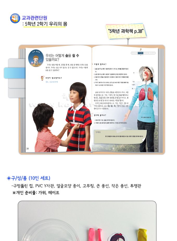호흡기관 모형 만들기 10인 세트 초등 DIY만들기 초등과학교구 초등과학학습 초등과학실험 어린이과학실험 호흡기관만들기 DIY호흡기관 교과실험도구 교과관련실험 호흡기관학습실험 어린이호흡실험