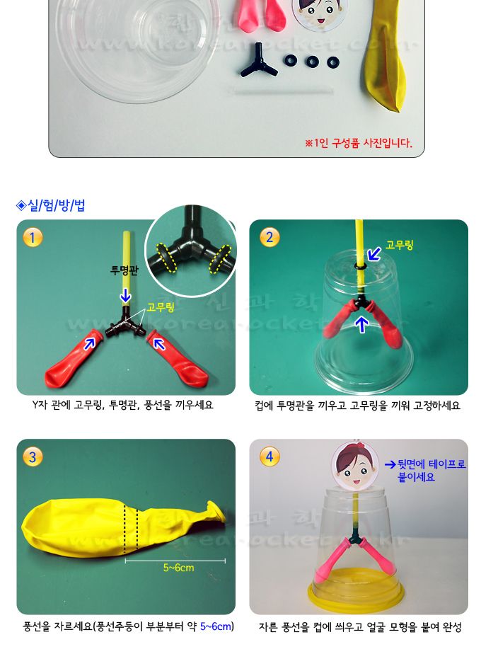 호흡기관 모형 만들기 10인 세트 초등 DIY만들기 초등과학교구 초등과학학습 초등과학실험 어린이과학실험 호흡기관만들기 DIY호흡기관 교과실험도구 교과관련실험 호흡기관학습실험 어린이호흡실험