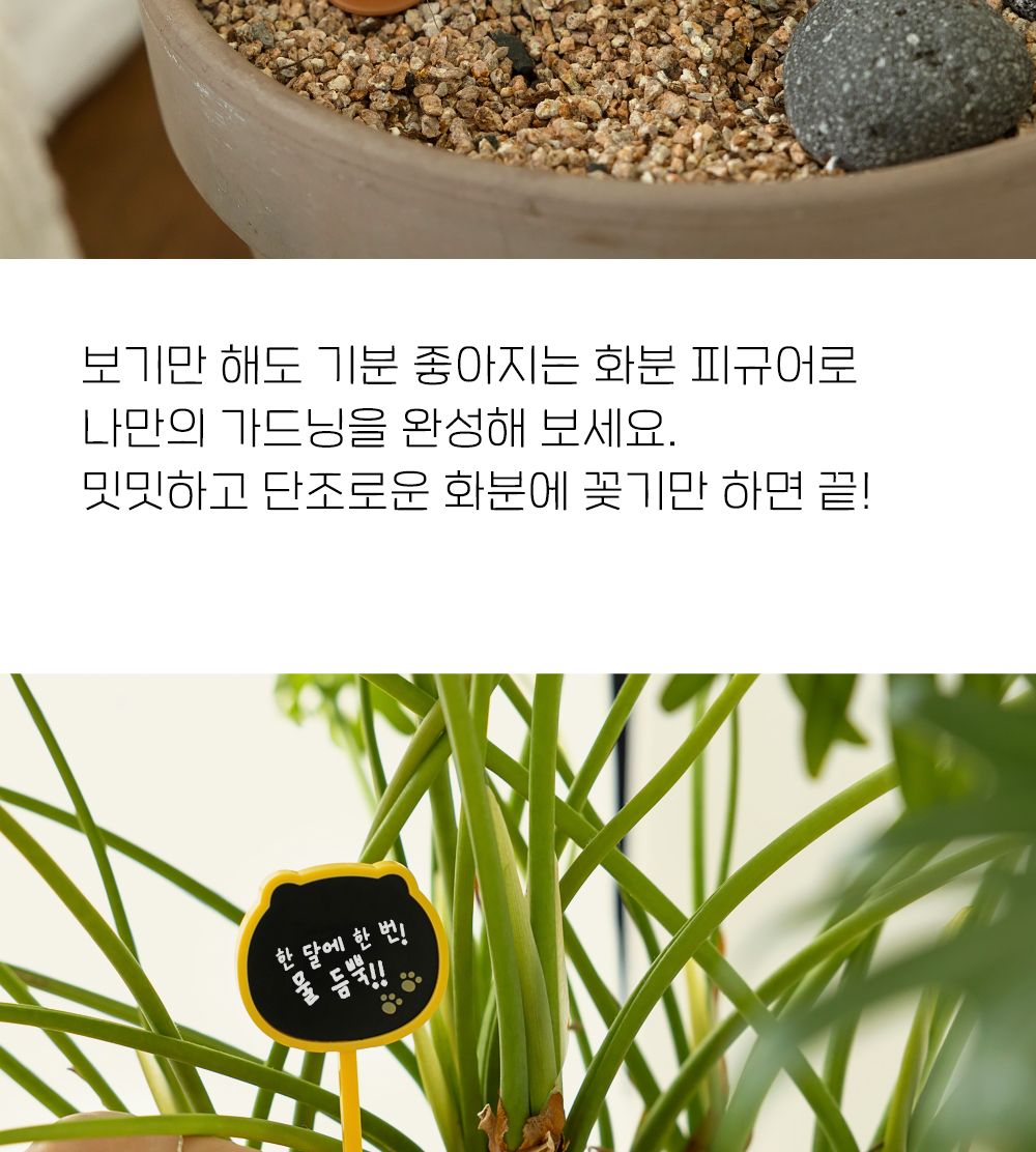 카카오프렌즈 춘식이 화분 피규어 세트 식물이름표 식물네임텍 식물네임택 네임택피규어세트 네임텍피규어세트 이름표피규어세트 화분네임택 화분네임텍 화분이름표 화분피규어 화분장식피규어