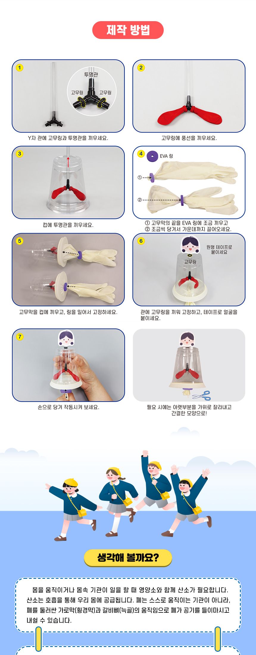 k2 호흡 기관 모형 만들기 4인 세트 호흡기관 호흡기관모형 호흡기관만들기 호흡기관모형만들기 과학장난감 과학교구 교육용과학교구 학습용과학교구 수업용과학교구 창작용과학교구 만들기교구