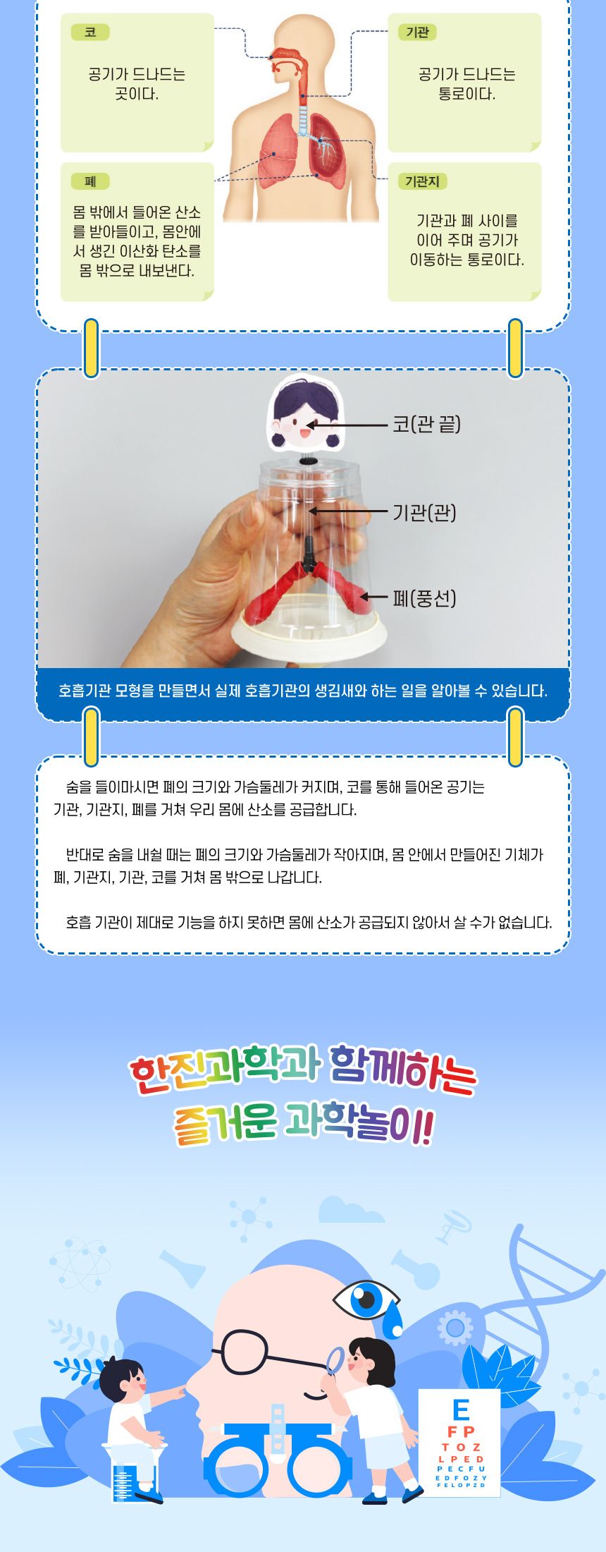 k2 호흡 기관 모형 만들기 4인 세트 호흡기관 호흡기관모형 호흡기관만들기 호흡기관모형만들기 과학장난감 과학교구 교육용과학교구 학습용과학교구 수업용과학교구 창작용과학교구 만들기교구