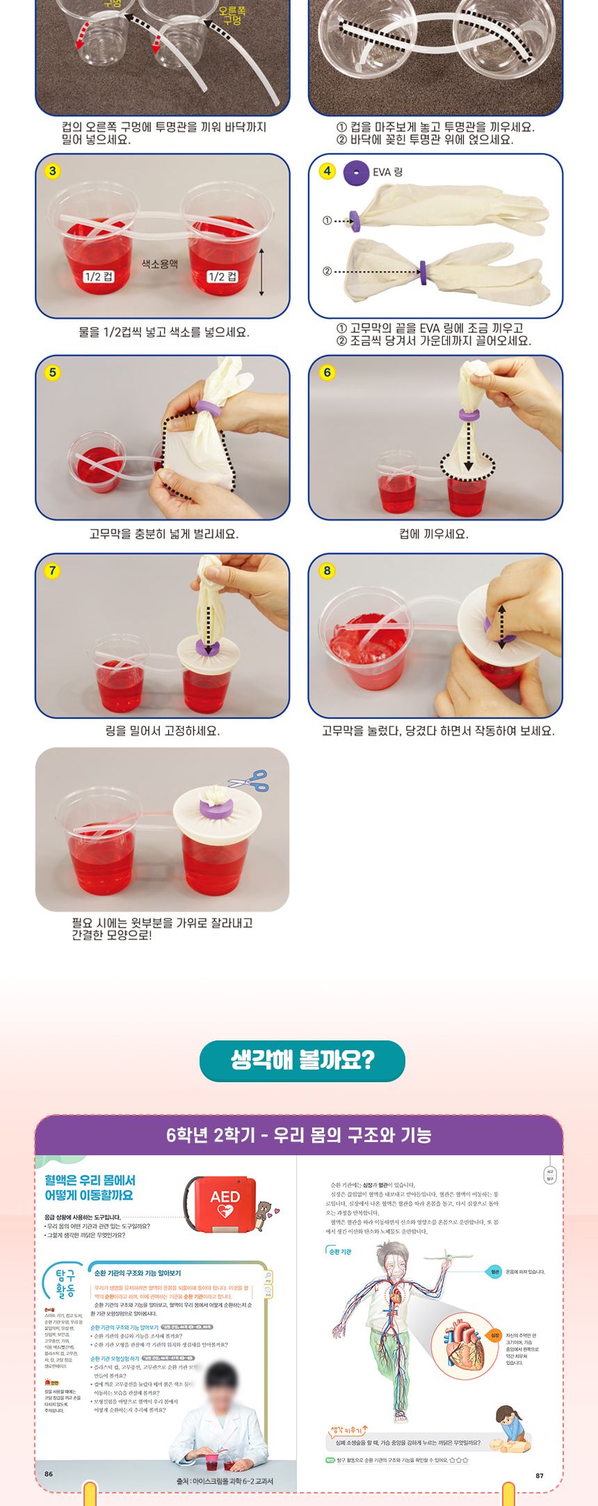 k2 순환 기관 모형 만들기 4인 세트 K2순환기관모형 과학장난감 과학교구 교육용과학교구 학습용과학교구 수업용과학교구 창작용과학교구 만들기교구 K2순환기관모형만들기 K2순환기관모형장난감