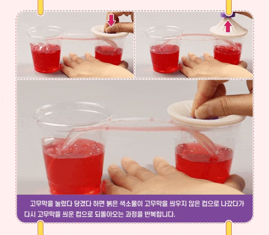 k2 순환 기관 모형 만들기 4인 세트 K2순환기관모형 과학장난감 과학교구 교육용과학교구 학습용과학교구 수업용과학교구 창작용과학교구 만들기교구 K2순환기관모형만들기 K2순환기관모형장난감