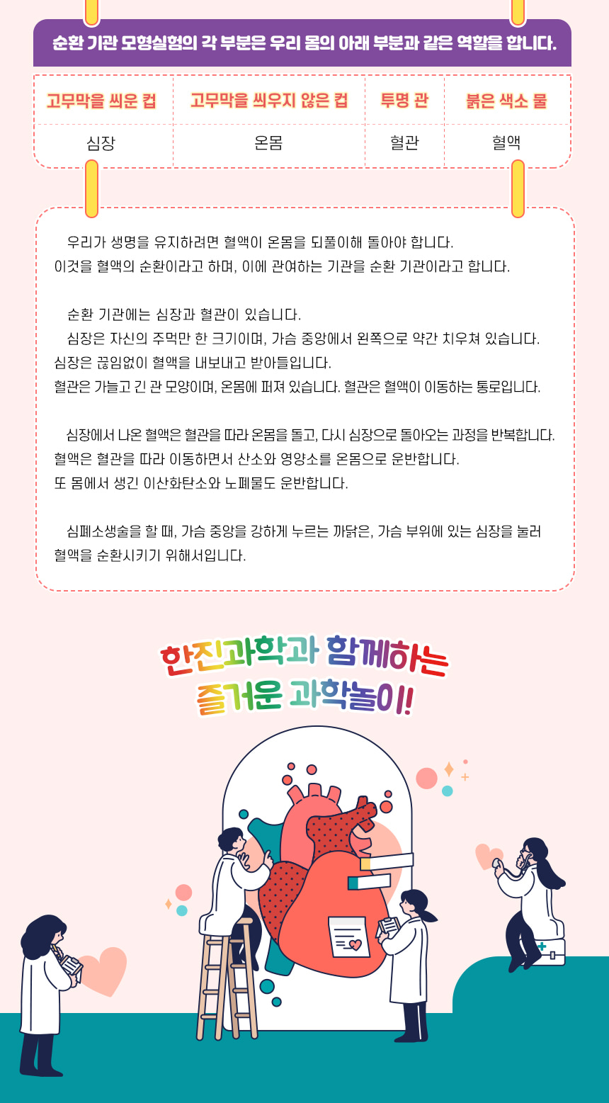 k2 순환 기관 모형 만들기 4인 세트 K2순환기관모형 과학장난감 과학교구 교육용과학교구 학습용과학교구 수업용과학교구 창작용과학교구 만들기교구 K2순환기관모형만들기 K2순환기관모형장난감