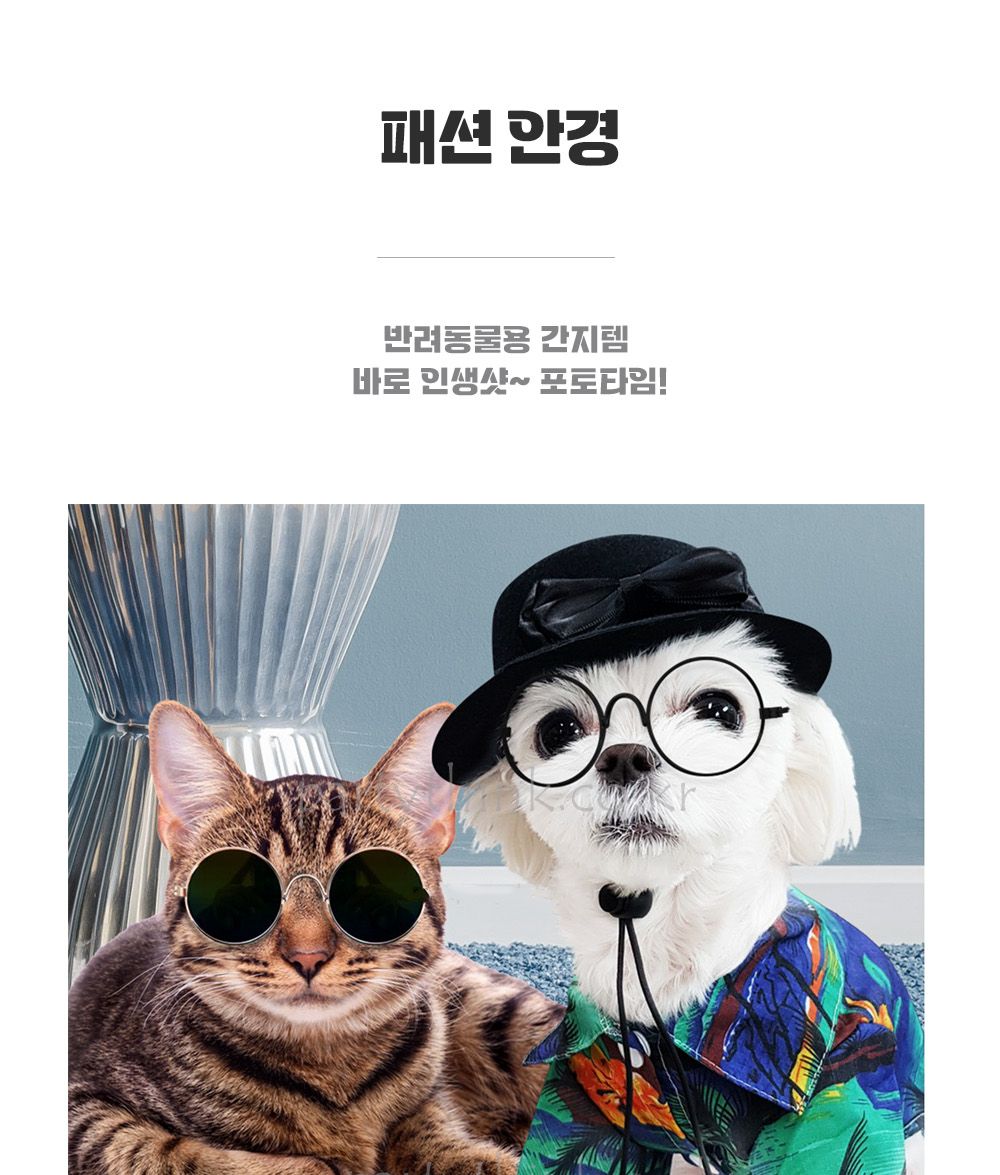강아지 생일 파티 안경 반려견안경 강아지안경 안경 패션안경 애견용안경 강아지패션안경 강아지악세사리 개악세사리 강아지악세서리 애견악세서리