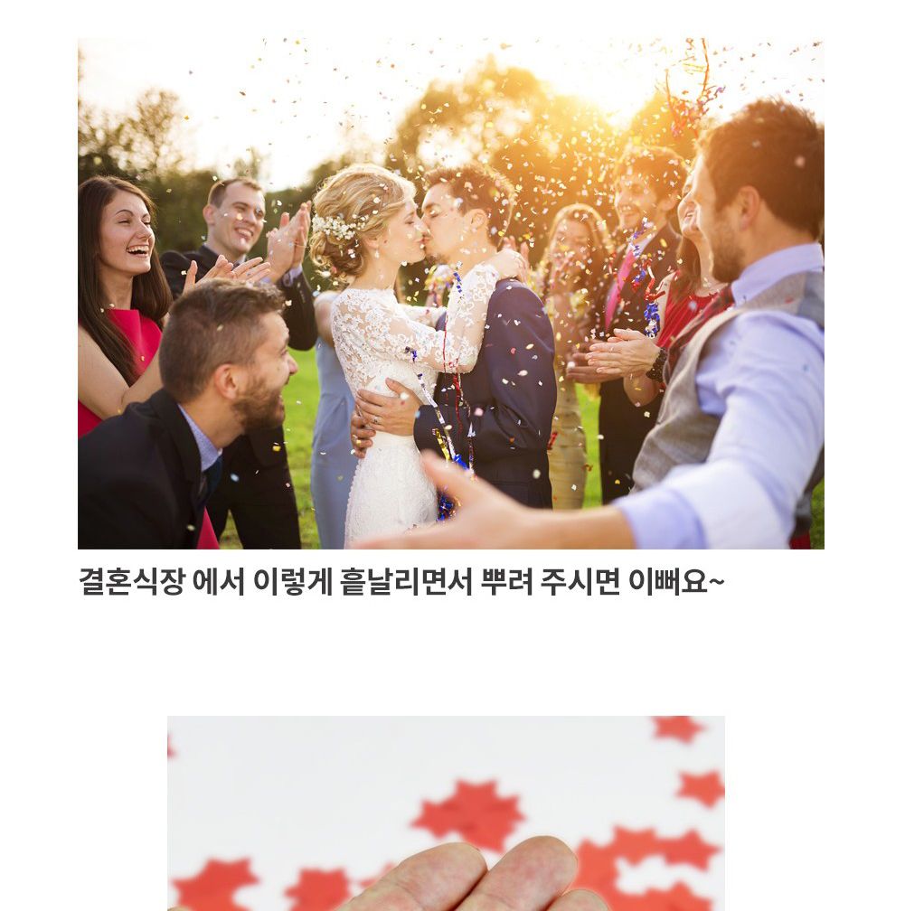 Party Club 은박 컨페티 별 컨페티풍선 은박컨페티풍선 풍선만들기 만들기풍선 파티용풍선 파티풍선 행사풍선 행사용풍선 꾸미기풍선 파티꾸미기풍선 파티장식풍선