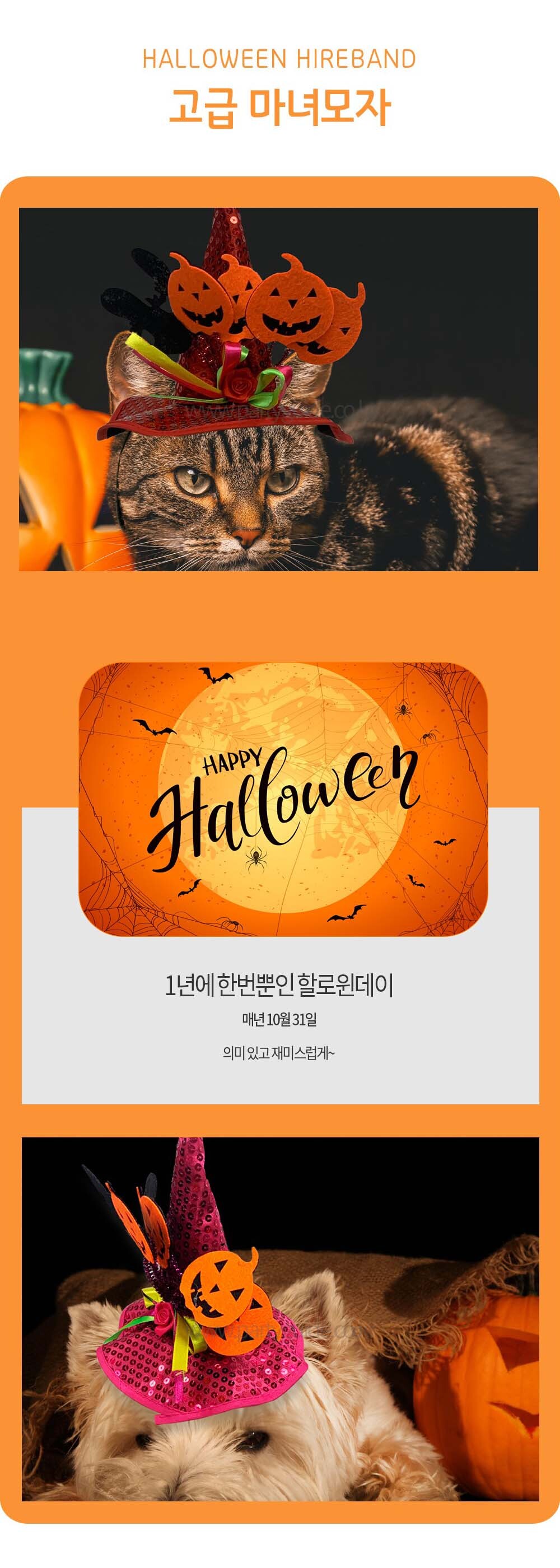강아지 생일 파티 고급 마녀 모자 마녀모자 할로윈마녀모자 강아지마녀모자 강아지생일파티모자 강아지모자 애완견모자 강아지산책용모자 산책용모자 애견모자 반려견모자 강아지패션모자