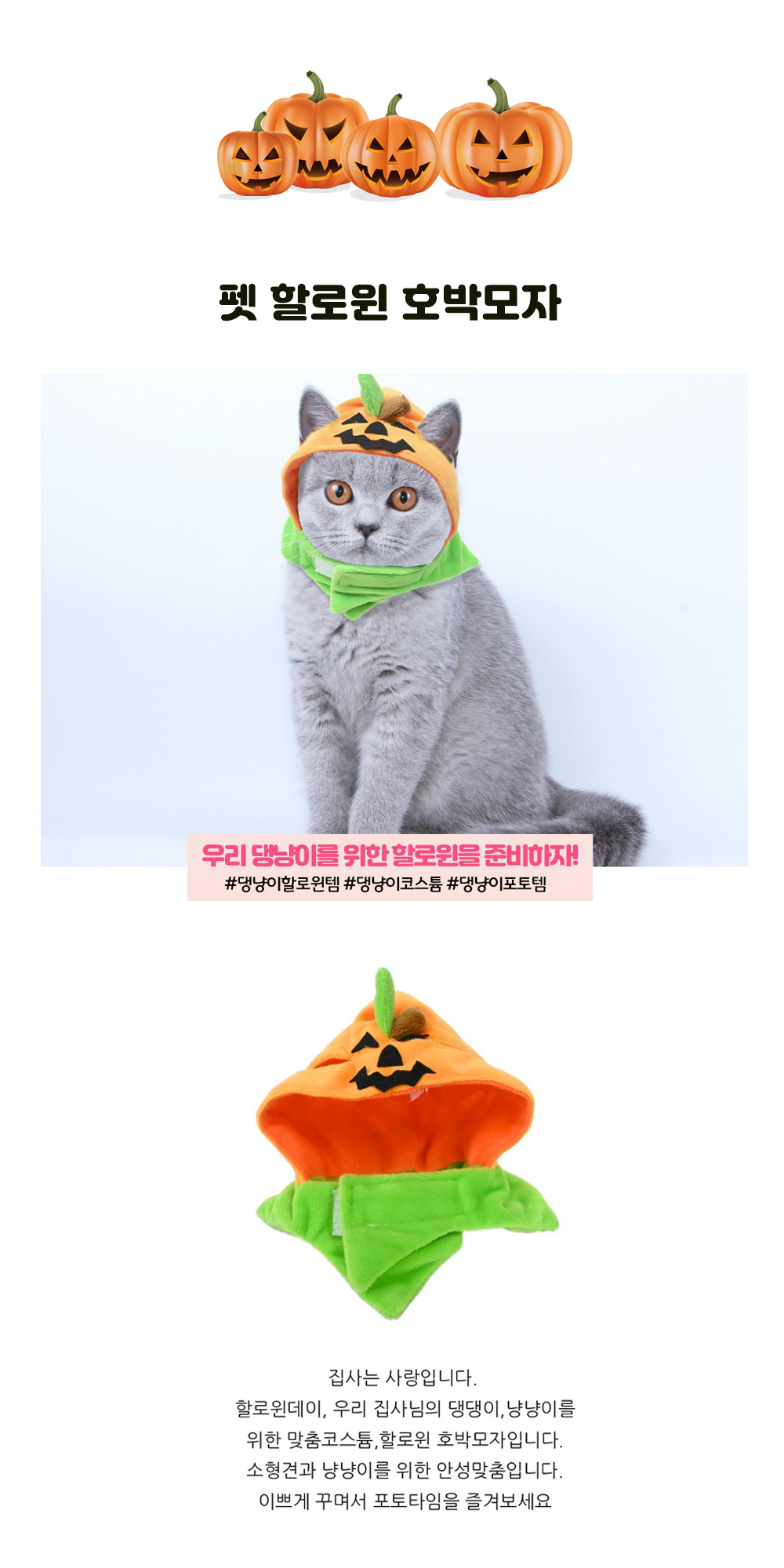 강아지 생일 파티 할로윈 호박 모자 할로윈호박모자 강아지할로윈모자 호박모자 강아지생일파티모자 강아지모자 애완견모자 강아지산책용모자 산책용모자 애견모자 반려견모자 강아지패션모자