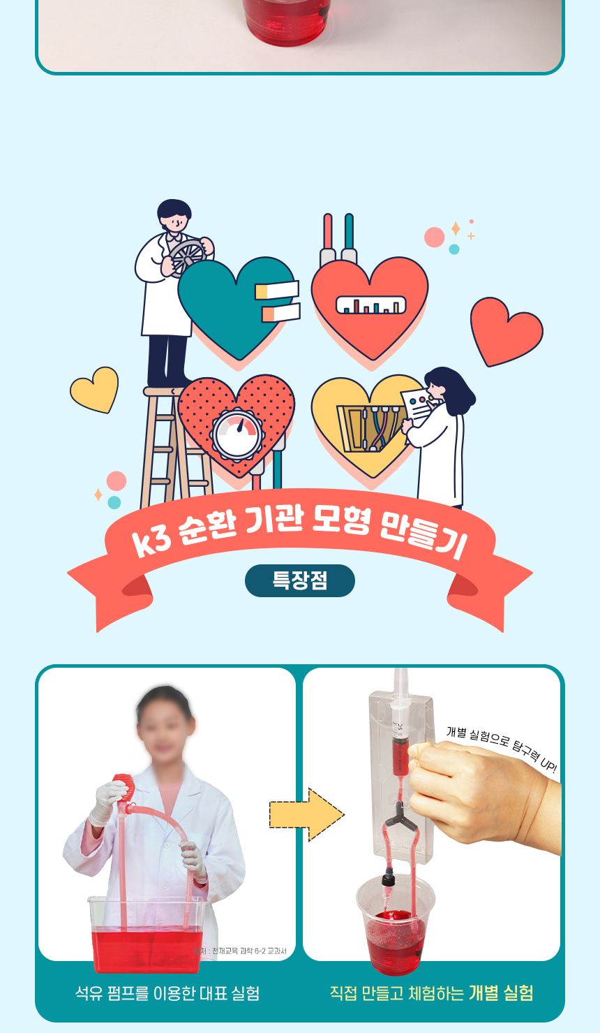 k3 순환 기관 모형 만들기(4인 세트) 초등 DIY만들기 교육 실험키트 K3순환기관모형 과학장난감 과학교구 교육용과학교구 학습용과학교구 수업용과학교구 창작용과학교구 만들기교구 K3순환기관모형만들기 K3순환기관모형장난감
