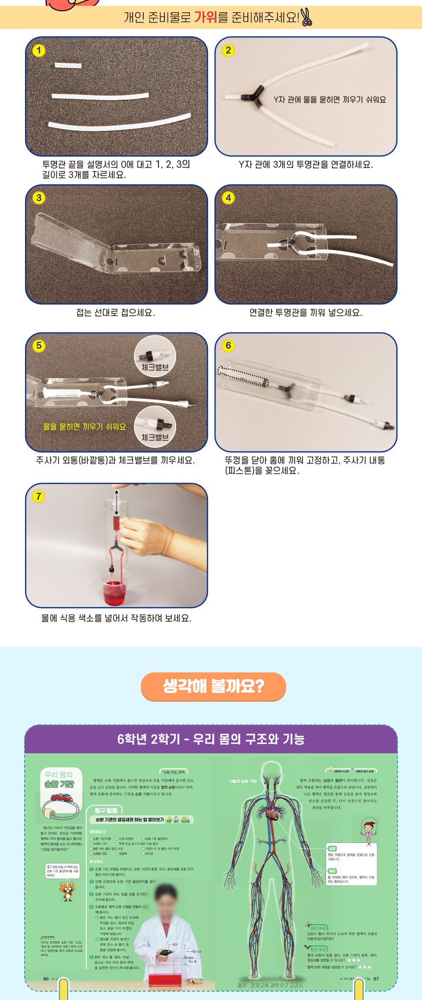 k3 순환 기관 모형 만들기(4인 세트) 초등 DIY만들기 교육 실험키트 K3순환기관모형 과학장난감 과학교구 교육용과학교구 학습용과학교구 수업용과학교구 창작용과학교구 만들기교구 K3순환기관모형만들기 K3순환기관모형장난감