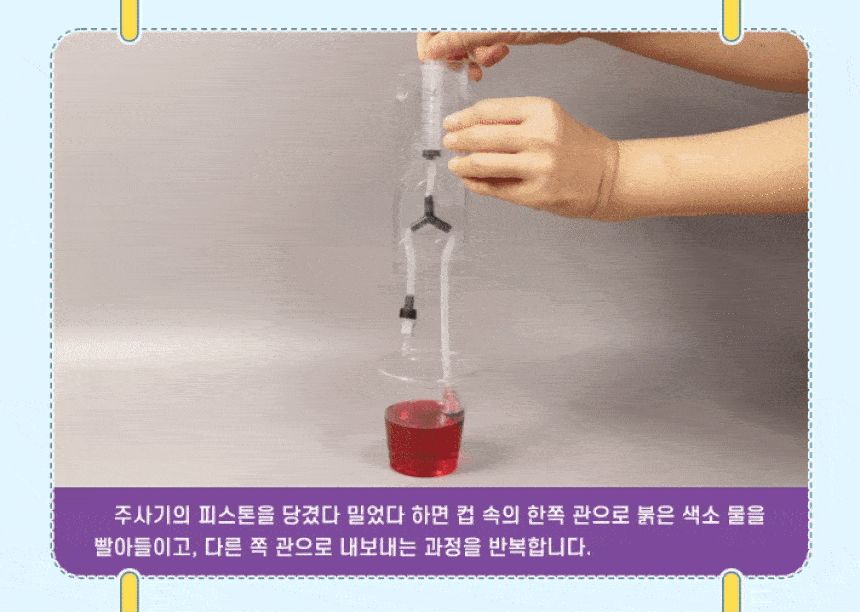 k3 순환 기관 모형 만들기(4인 세트) 초등 DIY만들기 교육 실험키트 K3순환기관모형 과학장난감 과학교구 교육용과학교구 학습용과학교구 수업용과학교구 창작용과학교구 만들기교구 K3순환기관모형만들기 K3순환기관모형장난감