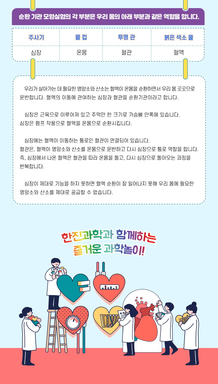 k3 순환 기관 모형 만들기(4인 세트) 초등 DIY만들기 교육 실험키트 K3순환기관모형 과학장난감 과학교구 교육용과학교구 학습용과학교구 수업용과학교구 창작용과학교구 만들기교구 K3순환기관모형만들기 K3순환기관모형장난감