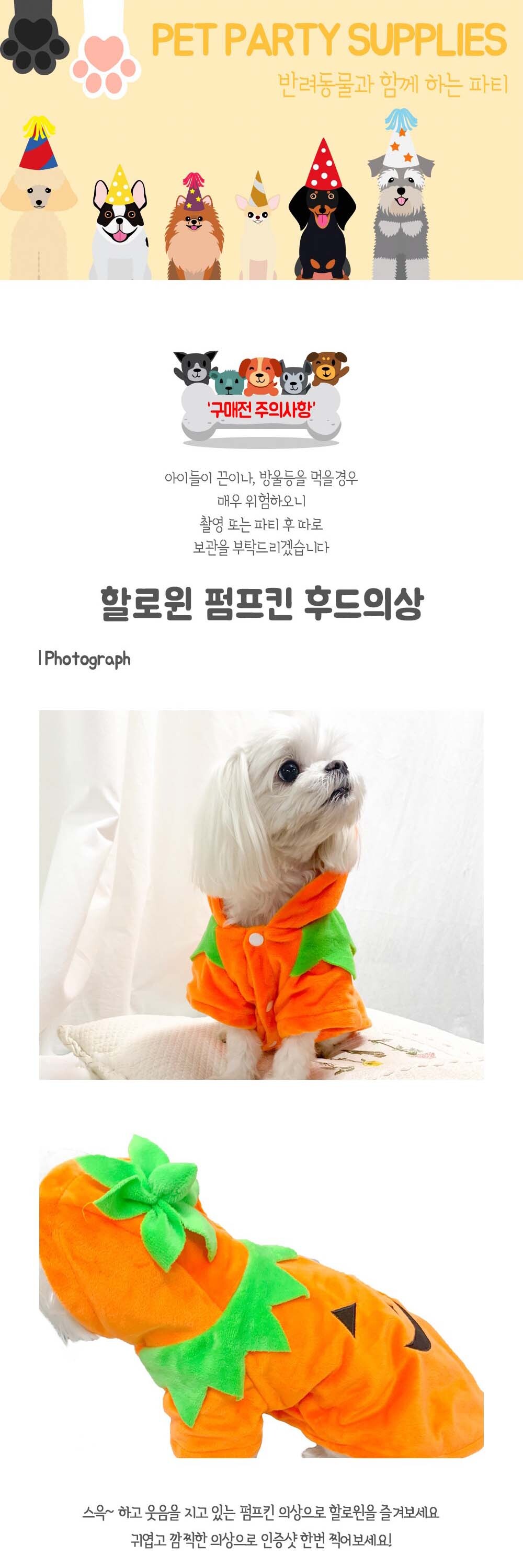 강아지 생일 파티 할로윈 펌프킨 후드 의상 할로윈펌프킨후드 할로윈펌프킨후드티 애견할로윈후드 강아지할로윈후드 할로윈후드 애완견옷 강아지의류 강아지옷 애견의류 애견옷 강아지패션 반려견의류