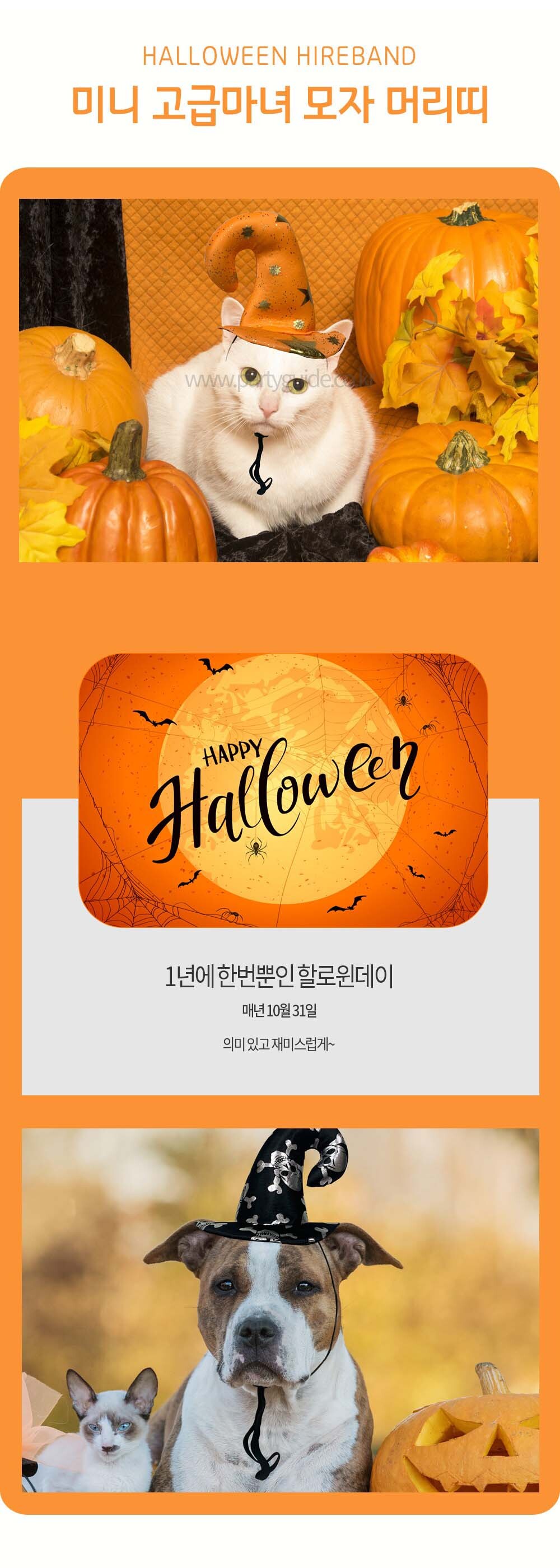 강아지 생일 파티 미니 고급 마녀 모자 마녀모자 할로윈마녀모자 강아지마녀모자 강아지생일파티모자 강아지모자 애완견모자 강아지산책용모자 산책용모자 애견모자 반려견모자 강아지패션모자
