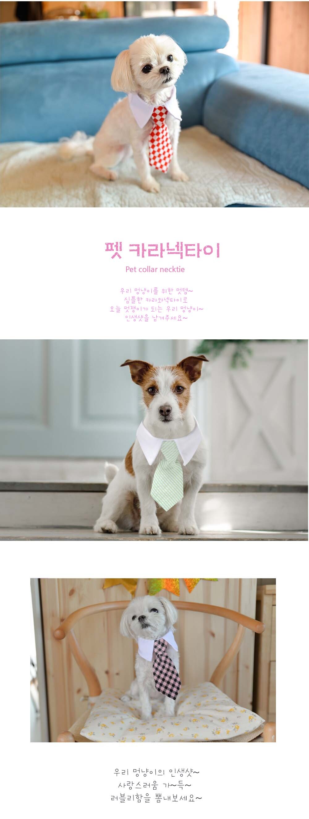 강아지 생일 파티 카라 넥타이 생일파티넥타이 생일파티 체커보드넥타이 카라넥타이 강아지카라넥타이 강아지넥타이 애견용넥타이 넥타이 애견넥타이 반려견넥타이