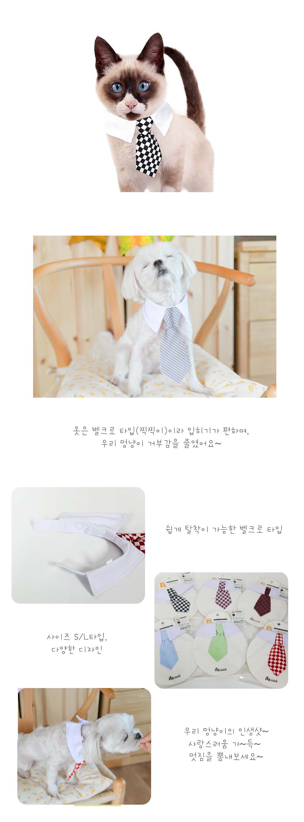 강아지 생일 파티 카라 넥타이 생일파티넥타이 생일파티 체커보드넥타이 카라넥타이 강아지카라넥타이 강아지넥타이 애견용넥타이 넥타이 애견넥타이 반려견넥타이