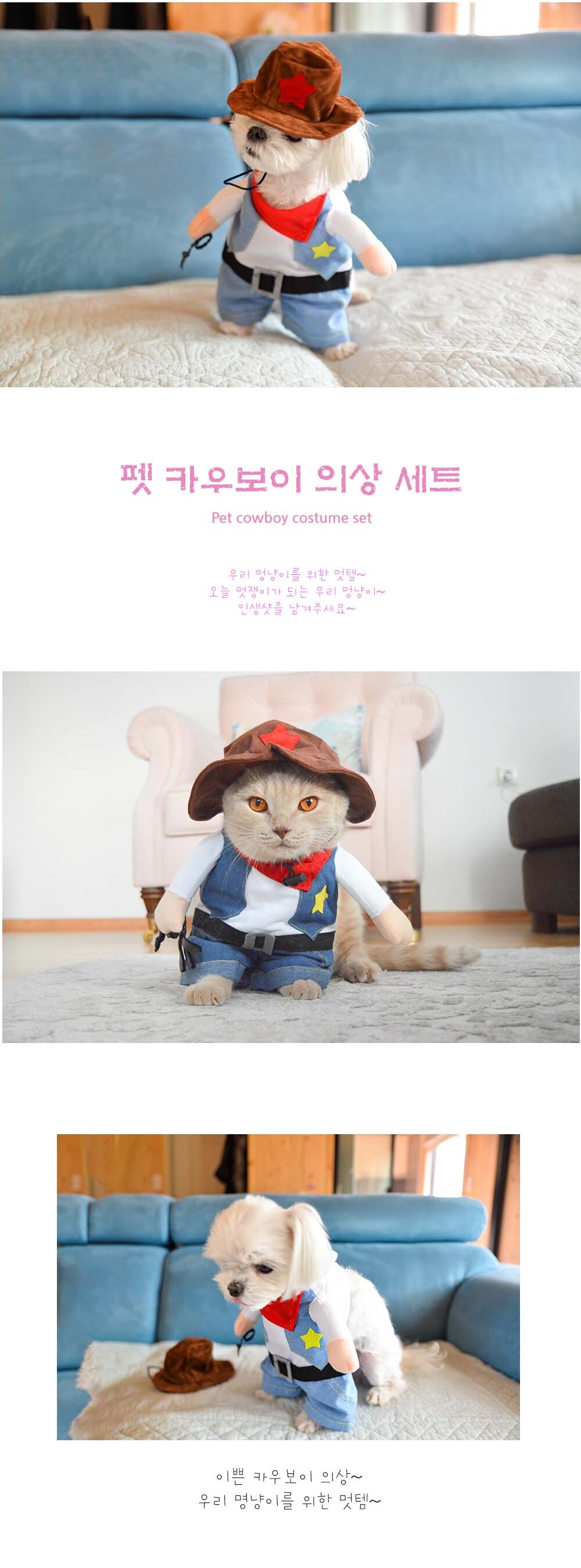 강아지 생일 파티 카우 보이 의상 카우보이옷 카우보이의상 생일파티의상 강아지할로윈의상 할로윈의상 애완견옷 강아지의류 강아지옷 애견의류 애견옷 강아지패션 반려견의류
