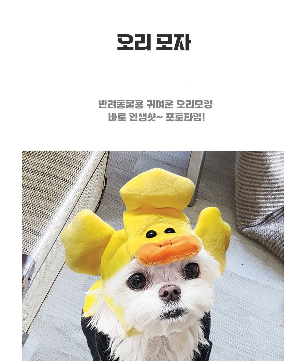 강아지 생일 파티 오리 모자 오리모자 강아지오리모자 강아지생일파티모자 강아지모자 애완견모자 강아지산책용모자 산책용모자 애견모자 반려견모자 강아지패션모자