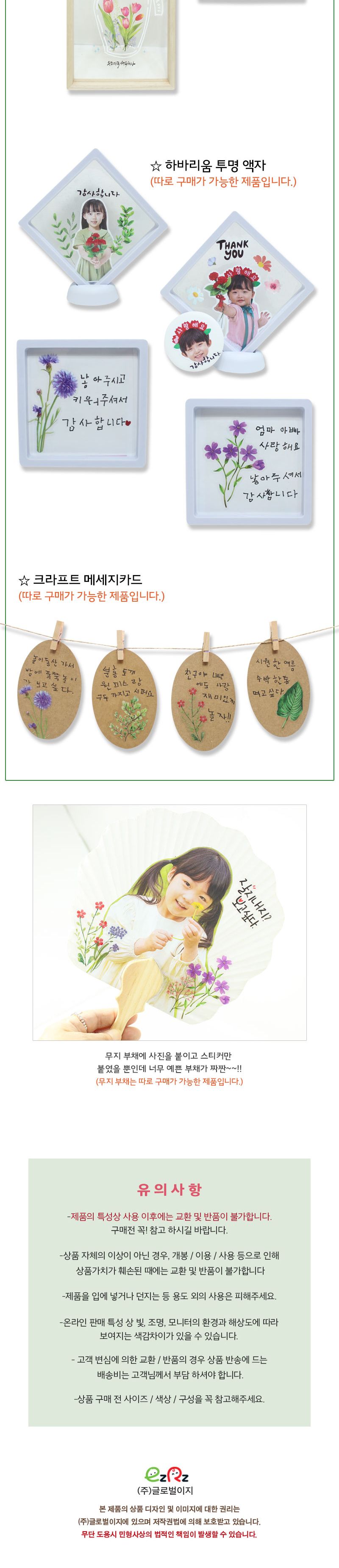 투명 스티커 캘리 식물 꽃 3매입 투명캘리스티커 투명스티커 팬시스티커 소품꾸미기 데코스티커 꾸미기스티커 다이어리꾸미기 다이어리스티커 스티커 투명꽃스티커