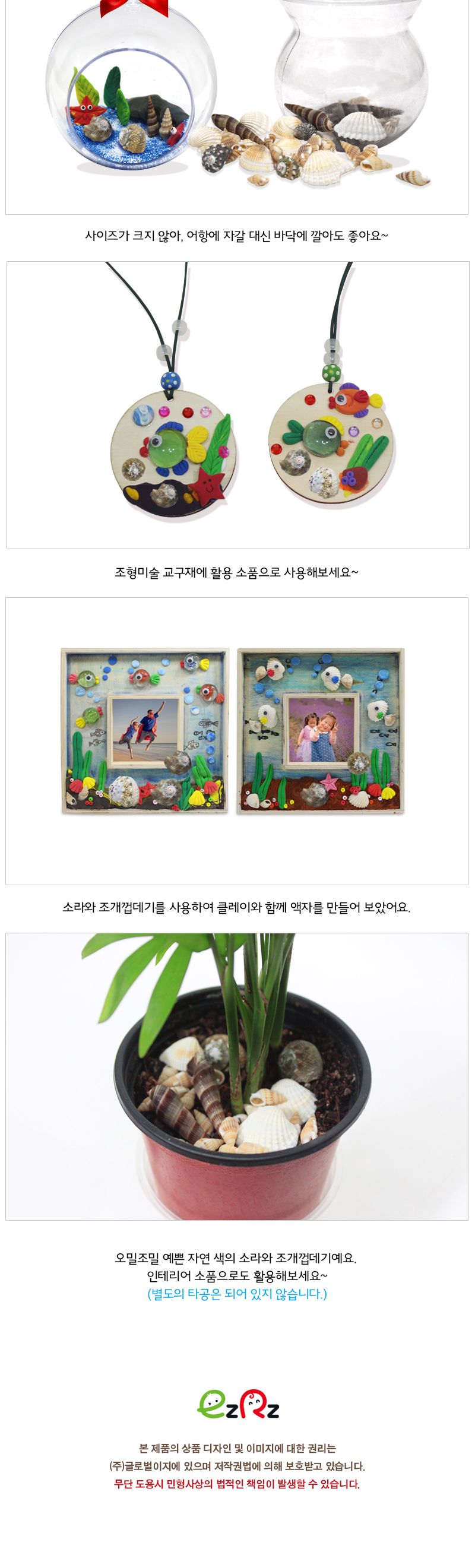 조개껍질 세트_5종 모형조개 조개껍질세트 공작용조개 공예용조개 만들기용조개 미술교구 미술재료 만들기재료 공작재료 공예재료