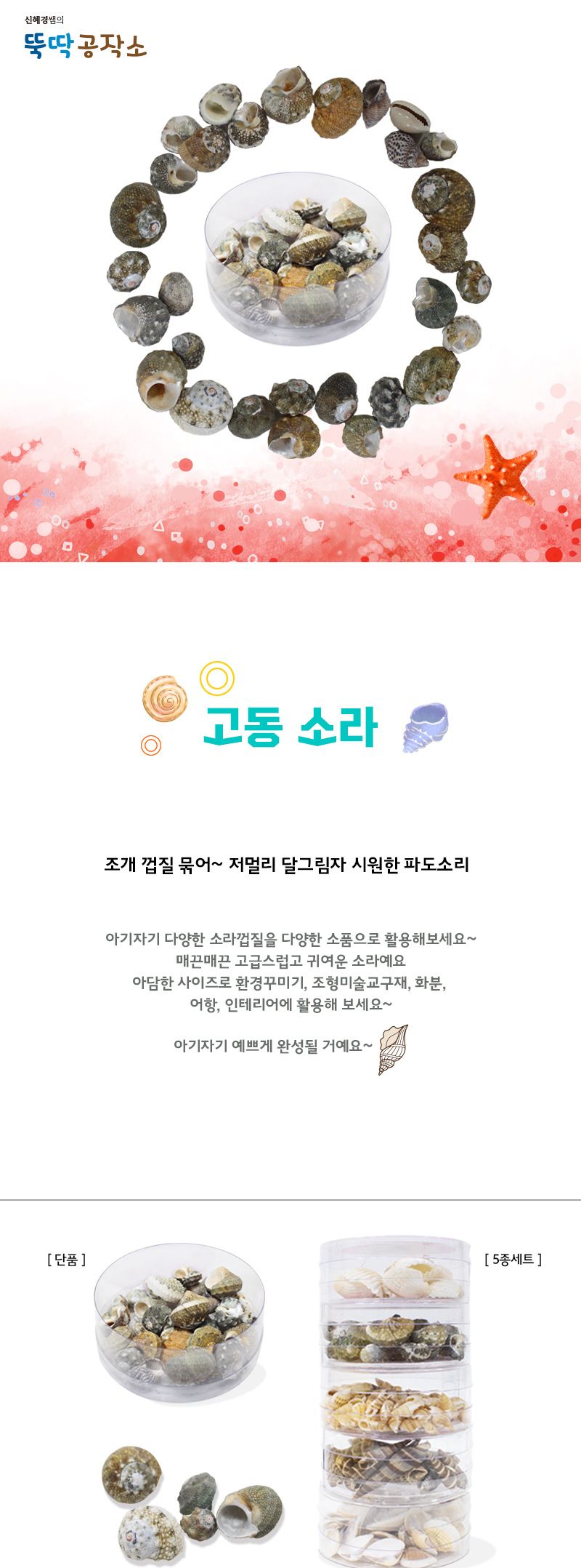 고동 소라 고동 소라 고동소라 미술재료 미술놀이 어린이미술 꾸미기놀이 꾸미기고동 꾸미기소라 장식용소라 장식용고동