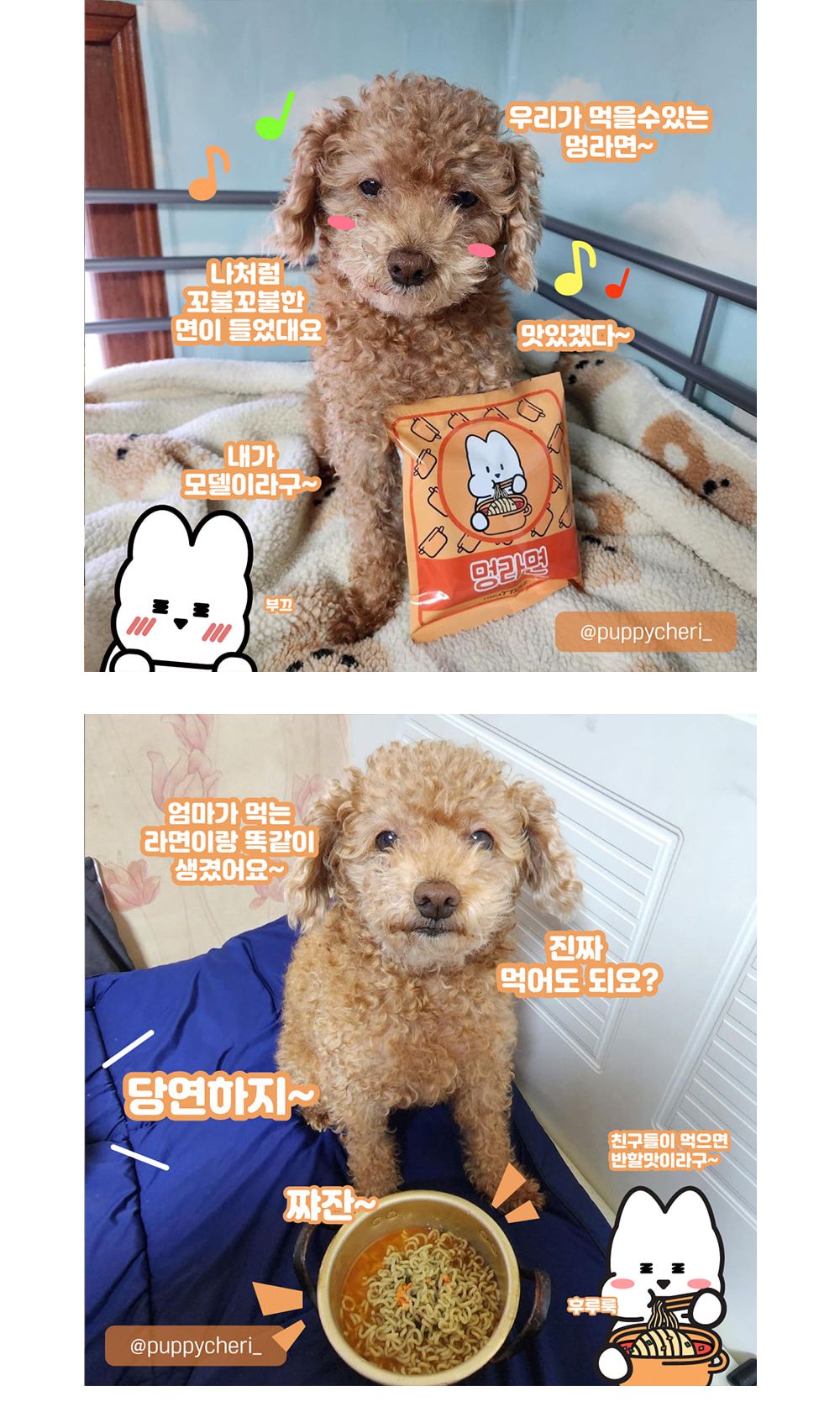 (트릿테이블)멍라면/펫라면/강아지라면/강아지간식/애견간식/애완견간식/펫간식/강아지후식/강아지디저트/