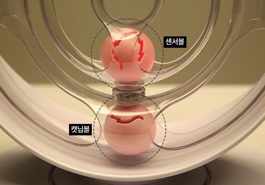 엘앤오글로벌 펫트너스 고양이 스페이스링 장난감/고양이장난감/애묘장난감/애완묘장난감/반려묘장난감/캣