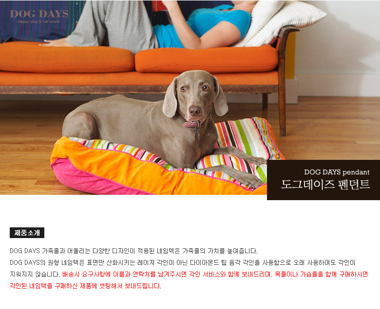 (M +3000 원형 대 +6000) (DOGDAYS)프리미엄 가죽 목줄 엘로우 (XS.S.M.L)/목줄/반려견용/강아지용/개목걸