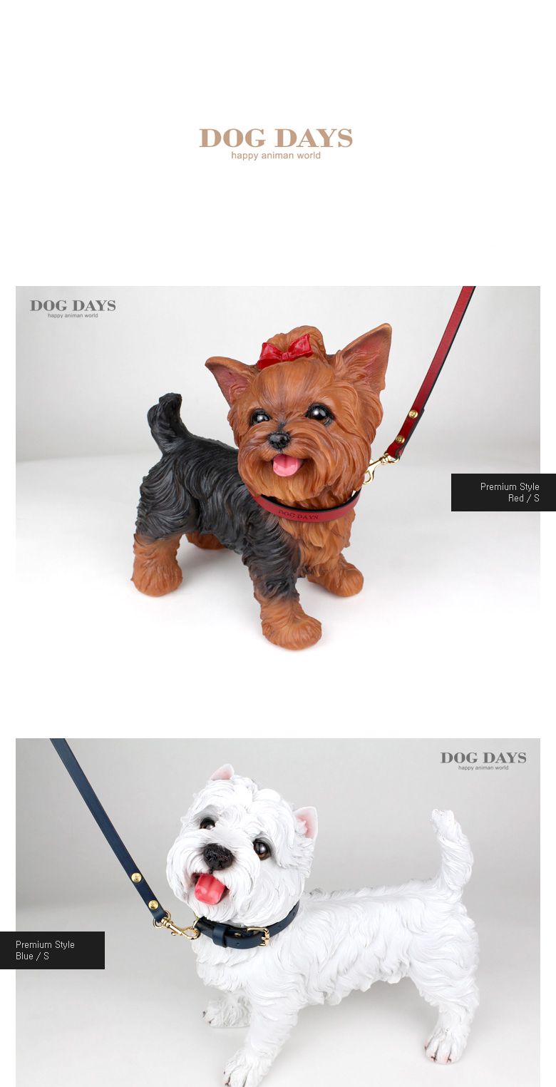 (M +3000 원형 대 +6000) (DOGDAYS)프리미엄 가죽 목줄 엘로우 (XS.S.M.L)/목줄/반려견용/강아지용/개목걸