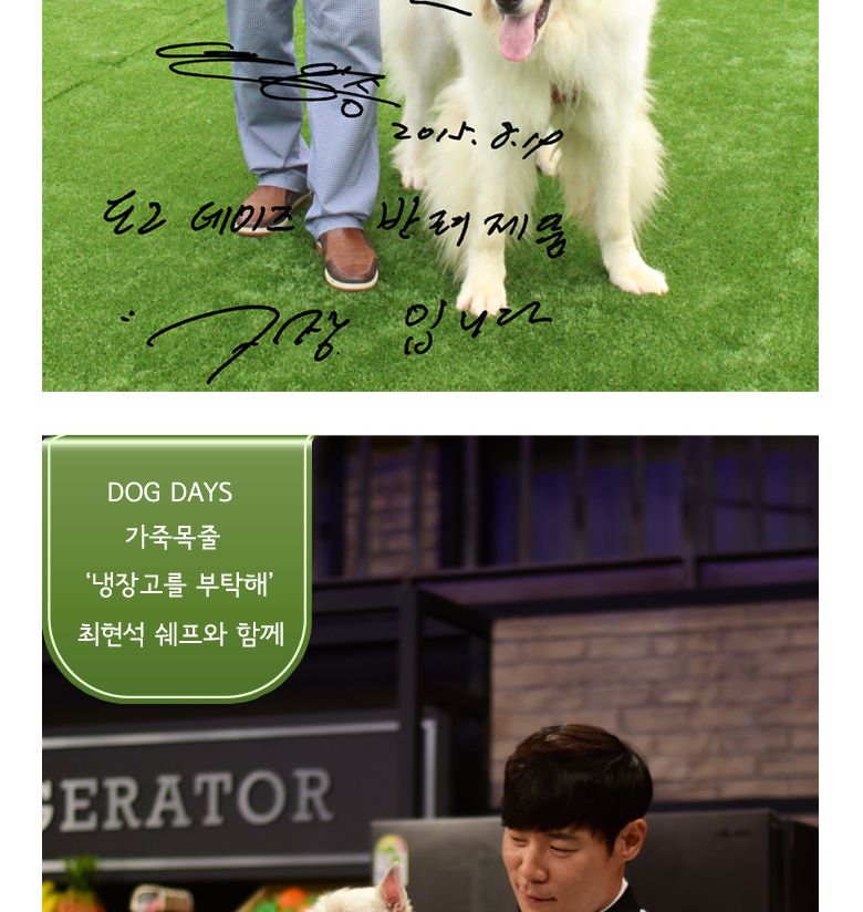 (M +3000 원형 대 +6000) (DOGDAYS)프리미엄 가죽 목줄 엘로우 (XS.S.M.L)/목줄/반려견용/강아지용/개목걸