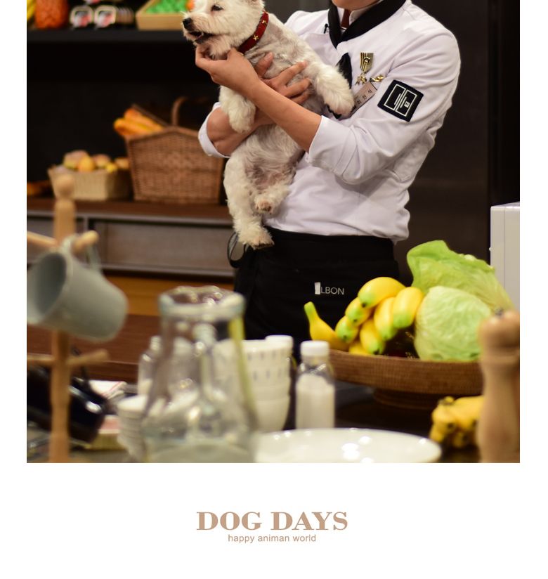 (M +3000 원형 대 +6000) (DOGDAYS)프리미엄 가죽 목줄 엘로우 (XS.S.M.L)/목줄/반려견용/강아지용/개목걸