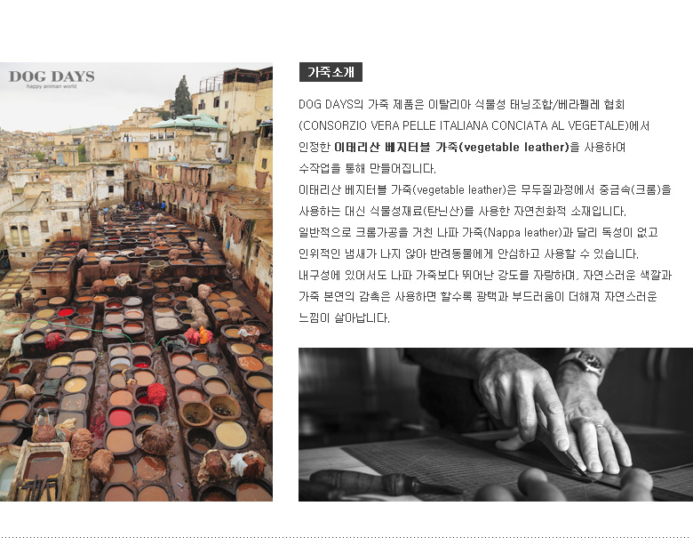 (M +3000 원형 대 +6000) (DOGDAYS)프리미엄 가죽 목줄 엘로우 (XS.S.M.L)/목줄/반려견용/강아지용/개목걸