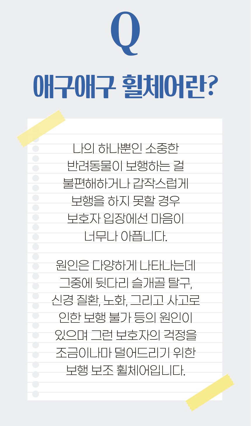 (애구애구) 강아지 휠체어 보행기 2륜/강아지보행기/애견보행기/개보행기/개휠체어/애견휠체어/강아지다리/
