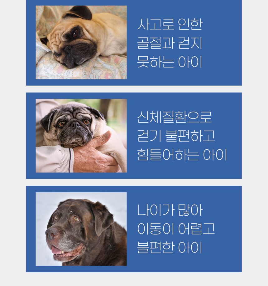 (애구애구) 강아지 휠체어 보행기 2륜/강아지보행기/애견보행기/개보행기/개휠체어/애견휠체어/강아지다리/