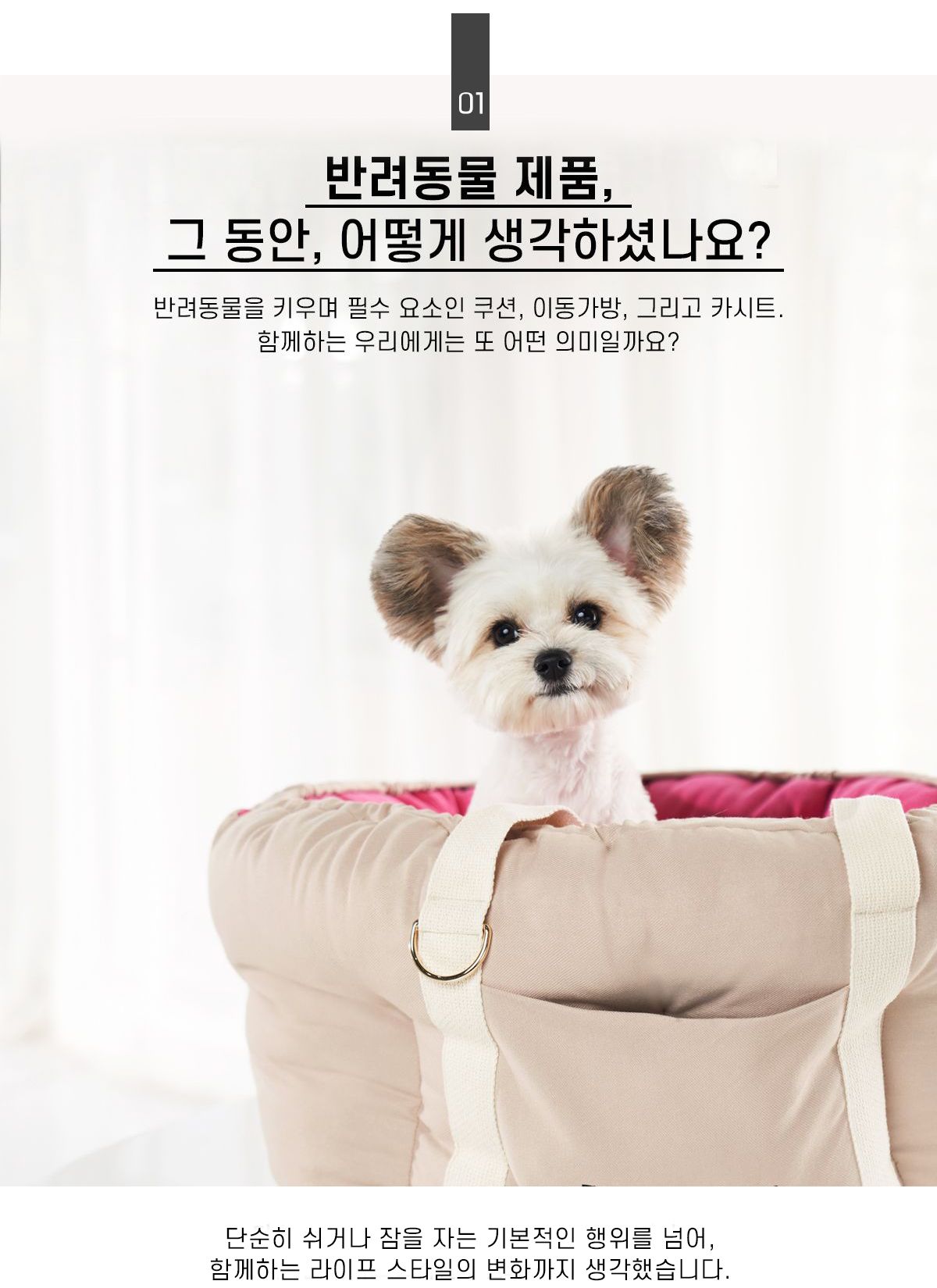 (러브핫핏) 호박방석 카시트 + 쿠션 세트 (핑크 아이보리)/강아지쿠션/호박방석/강아지이동가방/강아지캐리