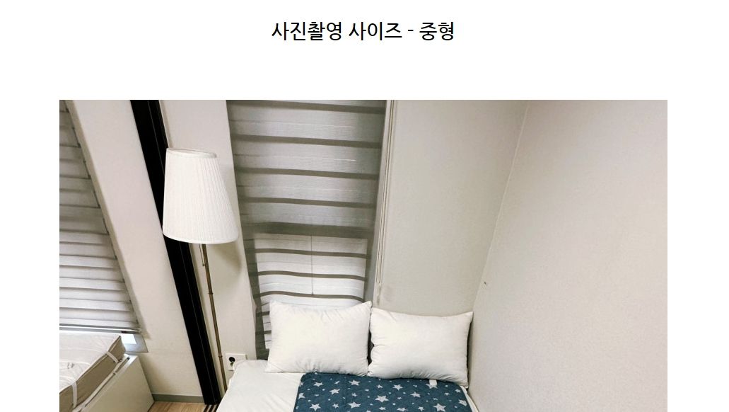 블루별 전기장판 고급형 중 100x180/전기장판/전기요/장판/겨울장판/거실장판/침대전기장판/침대전기요/거